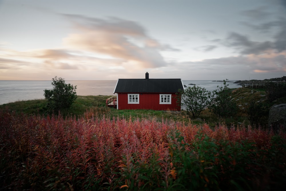 꽃밭 근처의 빨간색과 검은색 집