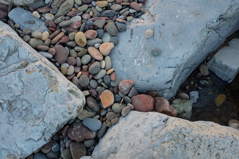 assorted pebbles on rocks