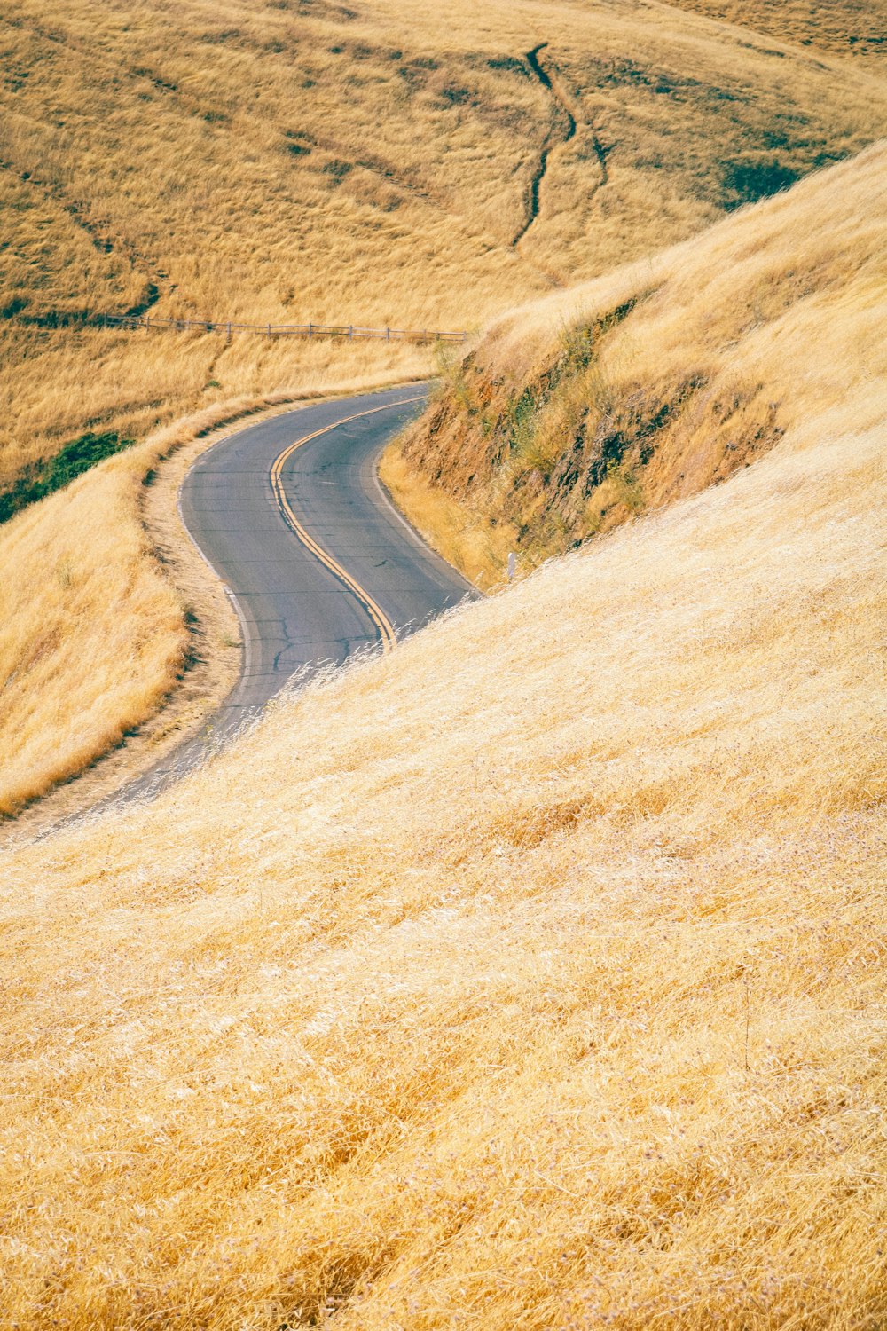 empty curve road on slope during daytime