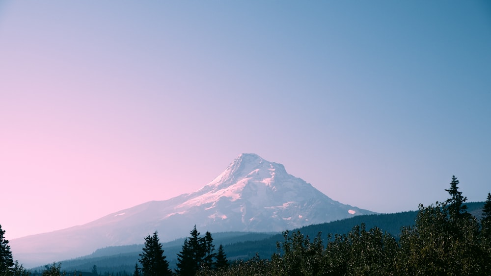 Fotografía de enfoque selectivo de montaña durante el día