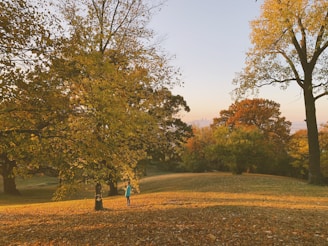 A serene landscape featuring a peaceful park with a mother and child enjoying a sunny day together.