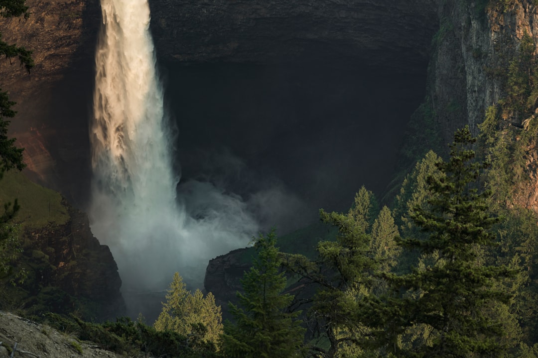 waterfalls beside trees