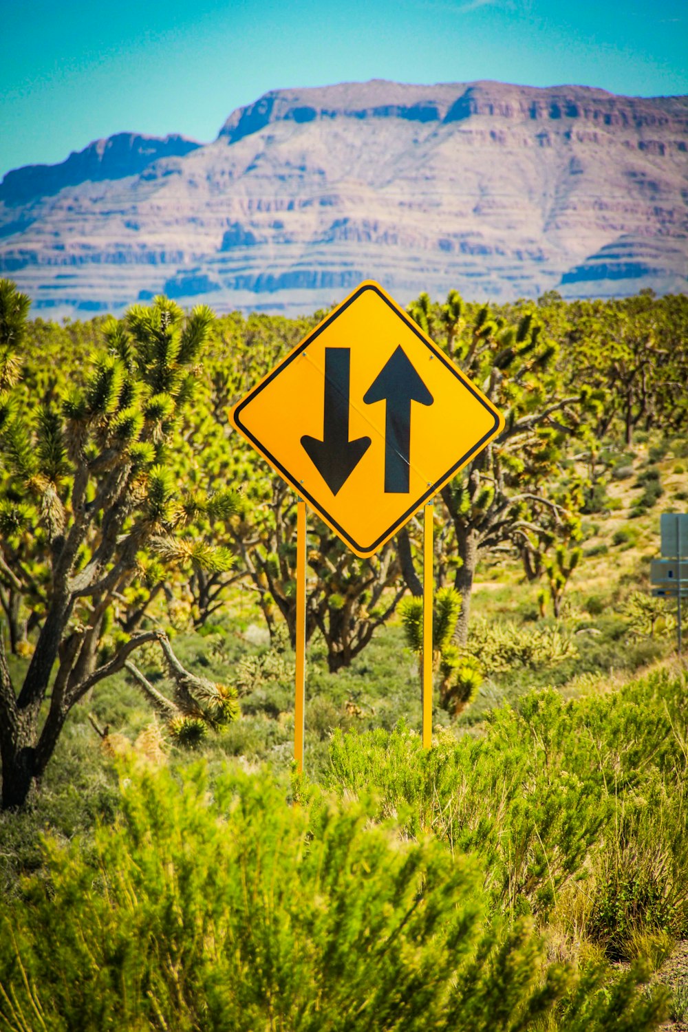 yellow and black arrow up and down signage