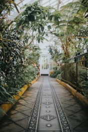 gray and yellow pathway