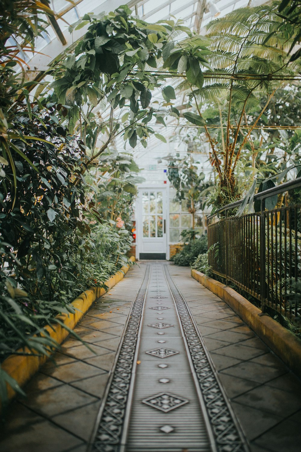 gray and yellow pathway