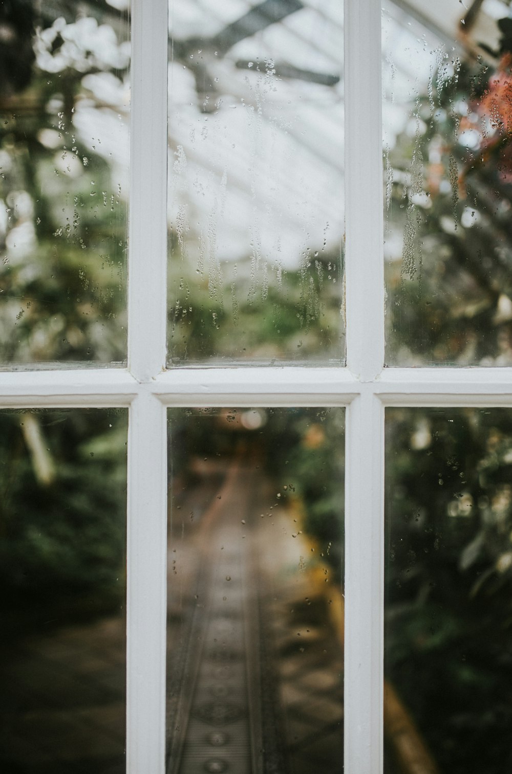 white wooden framed glass window