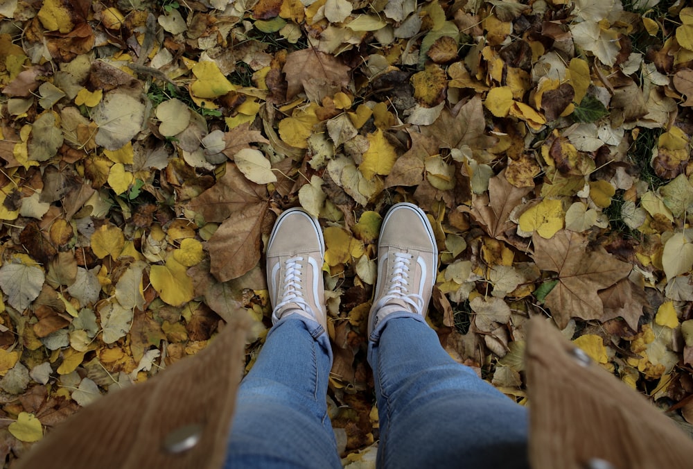 pair of gray Vans low-top sneakers