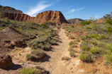 A quiet sandy trail winding through desert flora beneath towering cliffs.