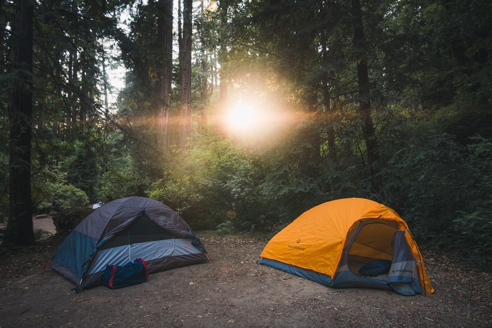 two gray and orange tents between forest