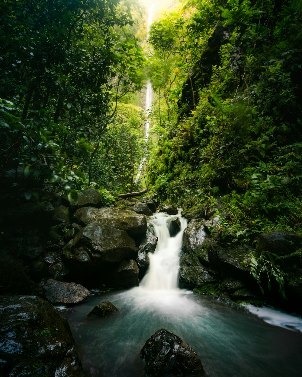 waterfall and forest