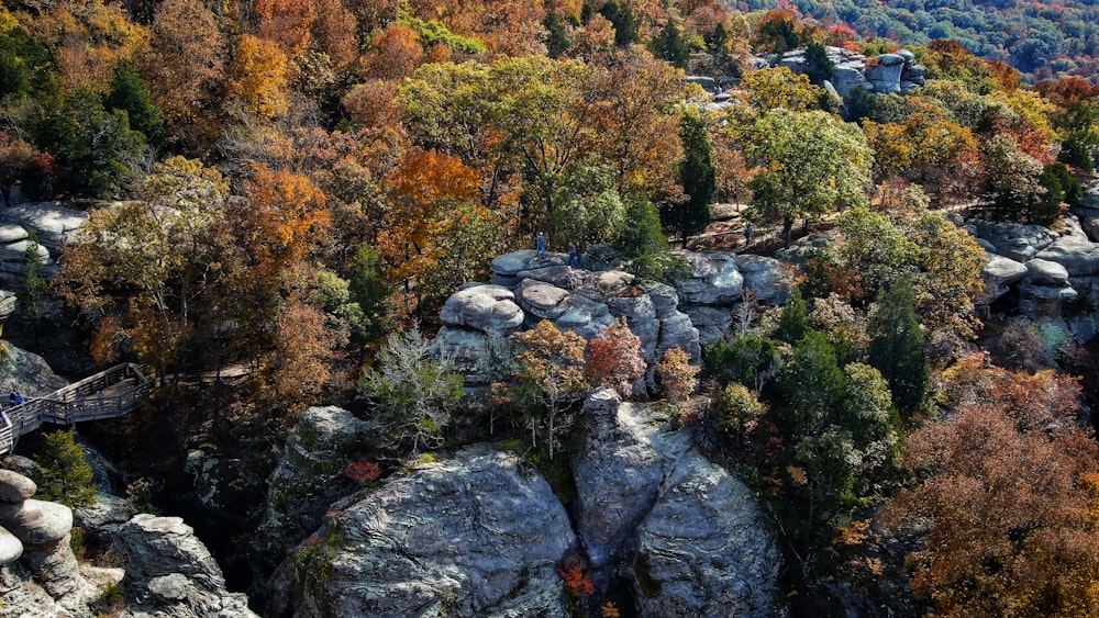 view of trees on rock hills