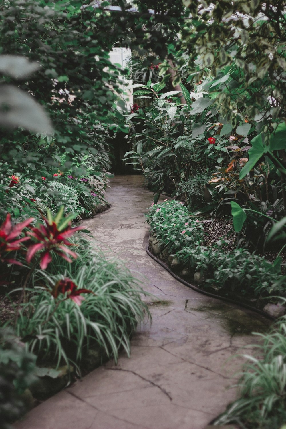 Camino de hormigón en el jardín