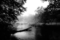 A serene nature-themed metal print featuring a misty forest scene, displayed in a hotel lobby.