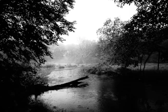A serene nature-themed metal print featuring a misty forest scene, displayed in a hotel lobby.