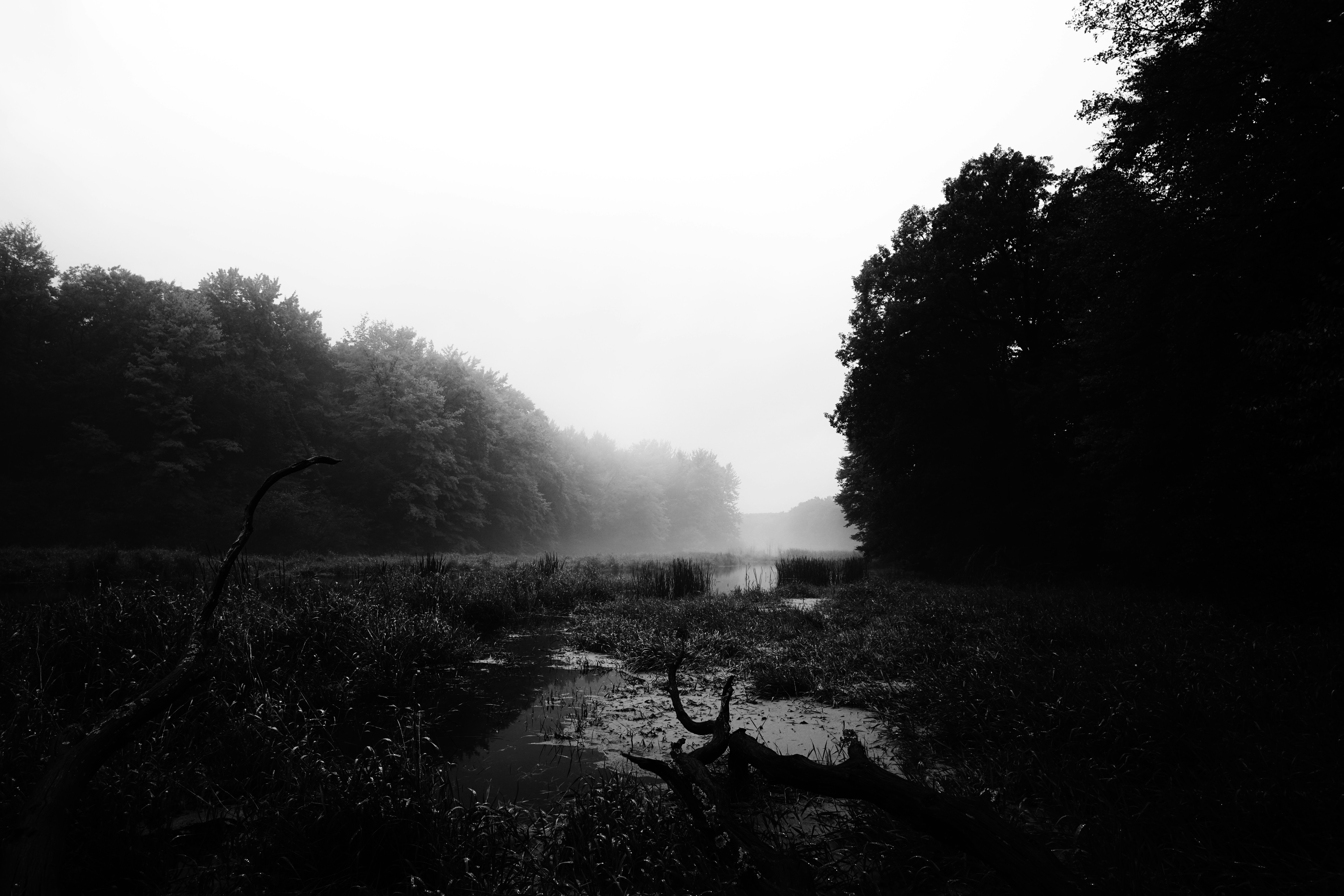 Photo by kent_pilcher