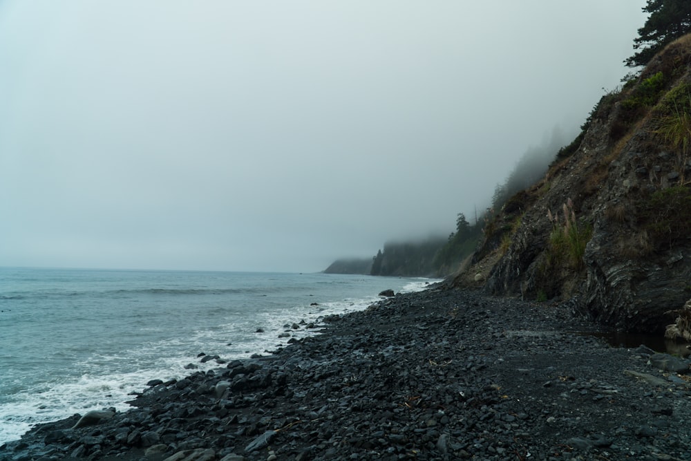 seashore during cloudy day