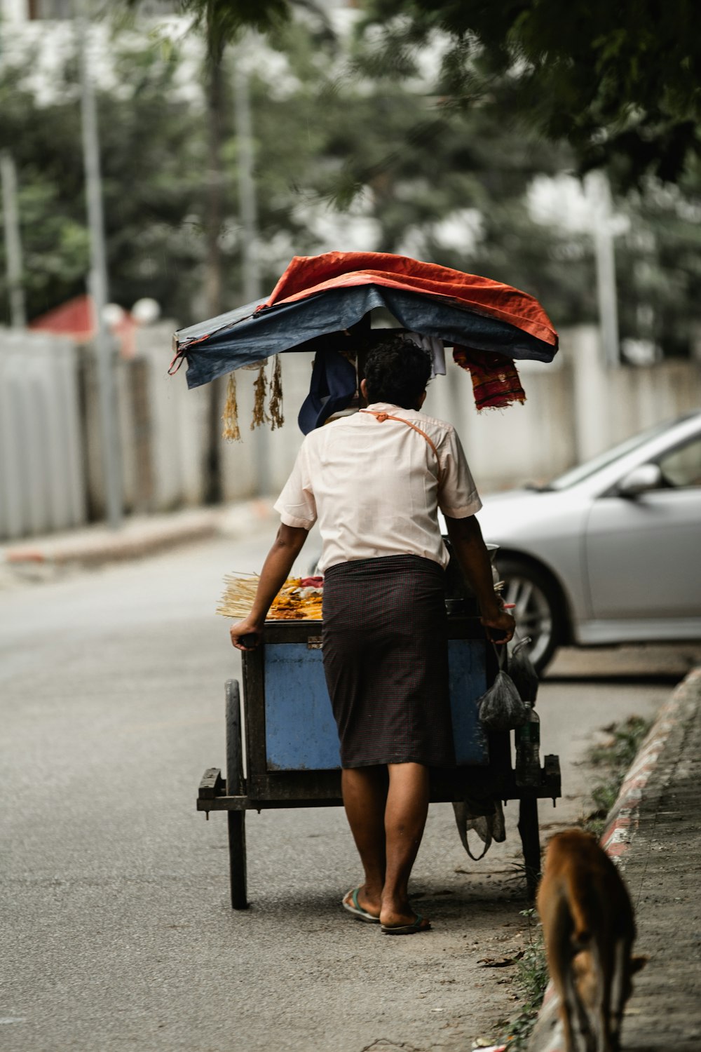 man pushing a food cart near walking dog