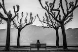 grayscale photo of person sits on bench surrounded by leafless treees