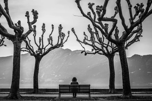 grayscale photo of person sits on bench surrounded by leafless treees