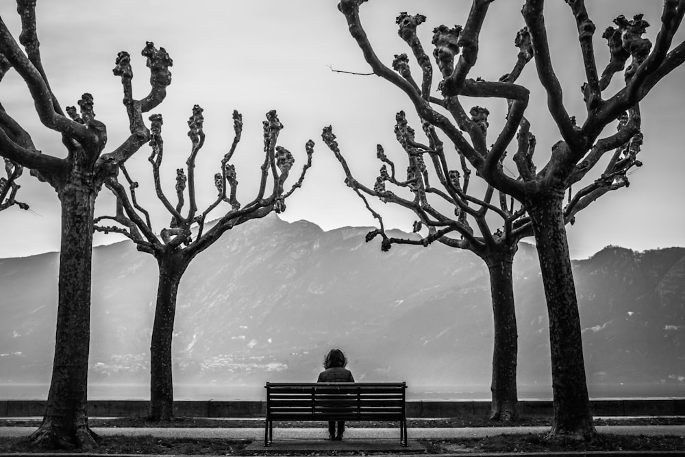 grayscale photo of person sits on bench surrounded by leafless treees