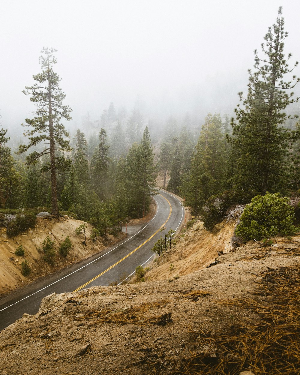 empty road between browns