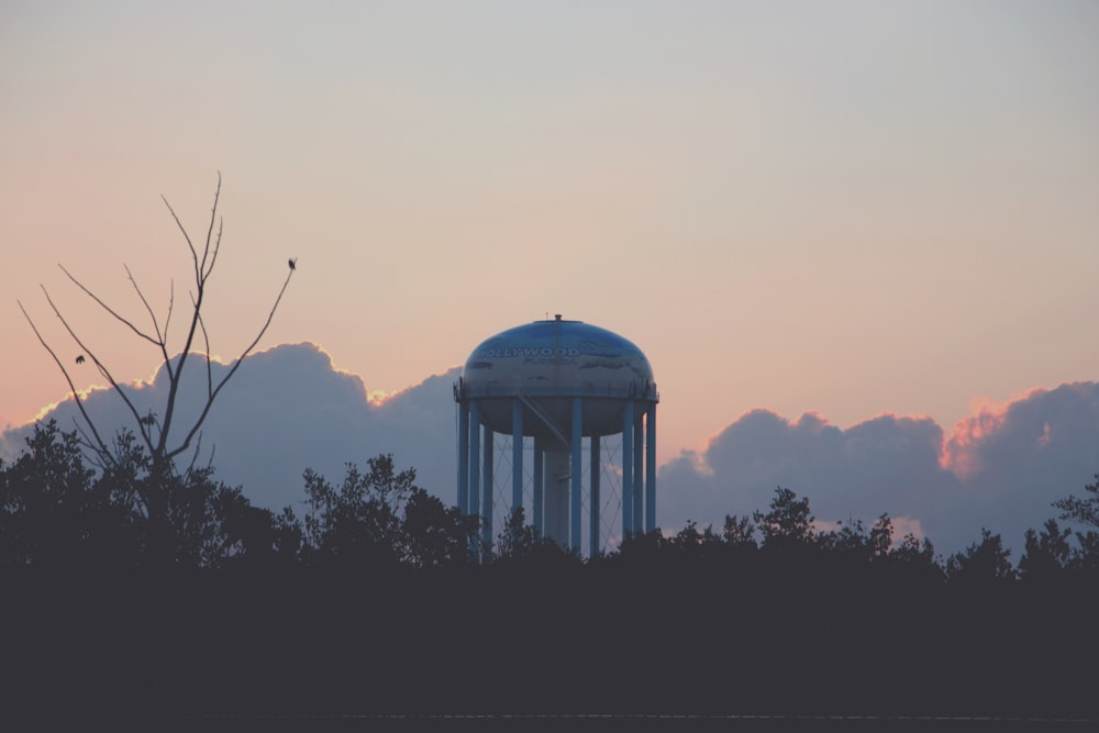 white and grey water tank in middle of trees