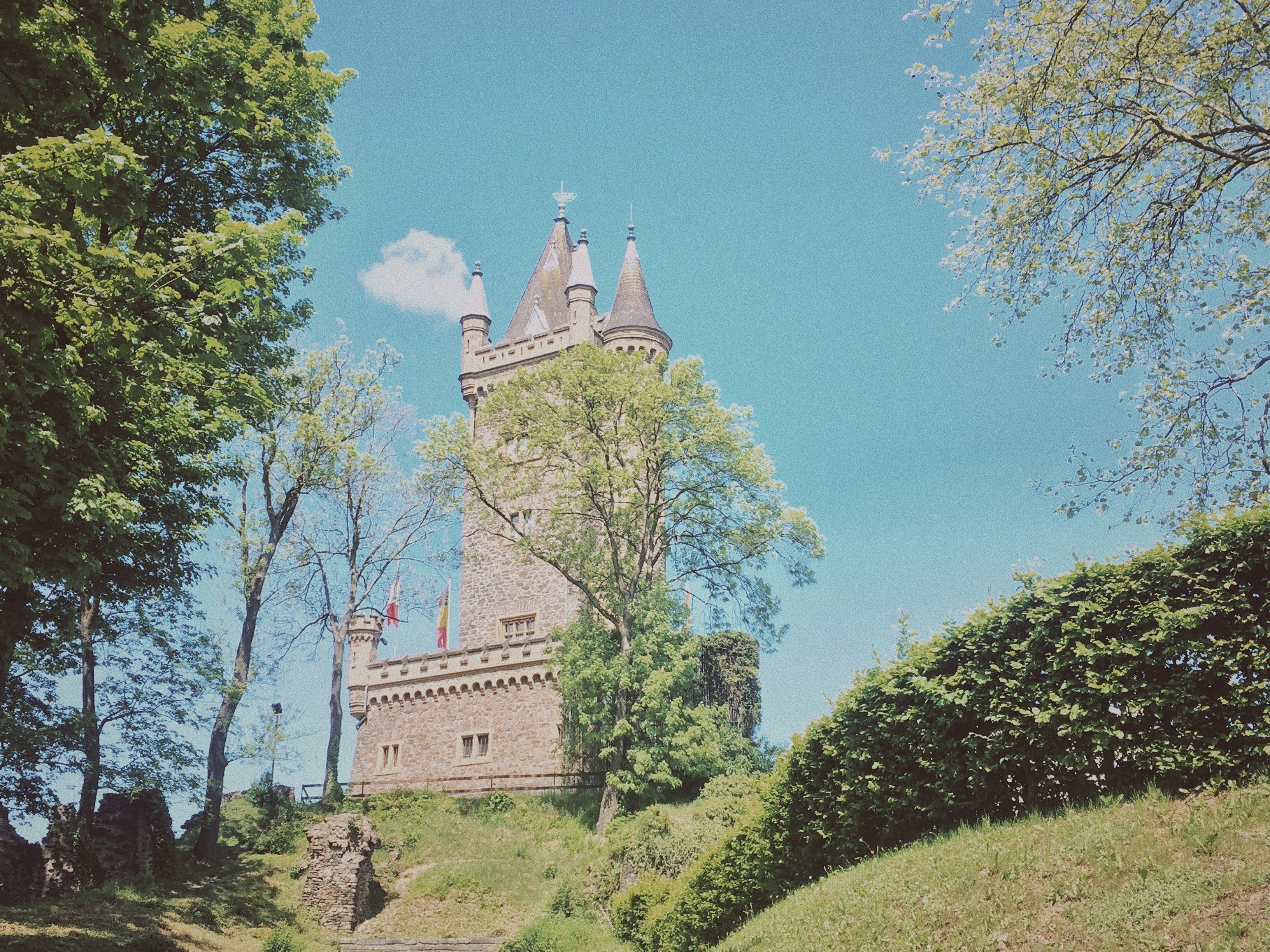 gray castle near trees under blue sky