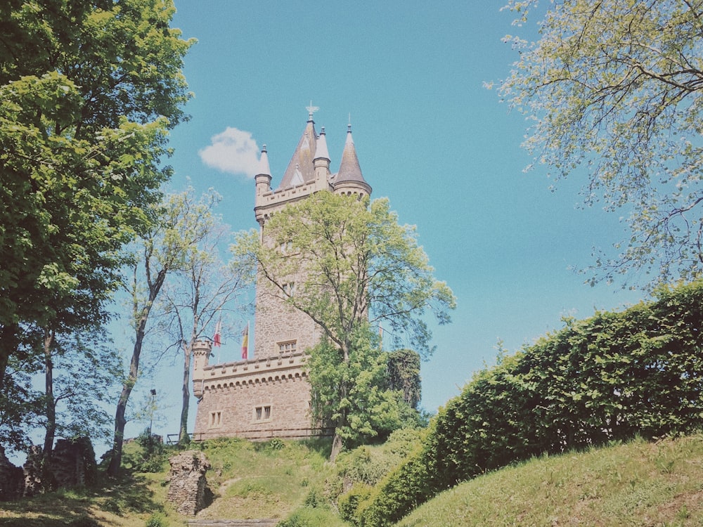 gray castle near trees under blue sky