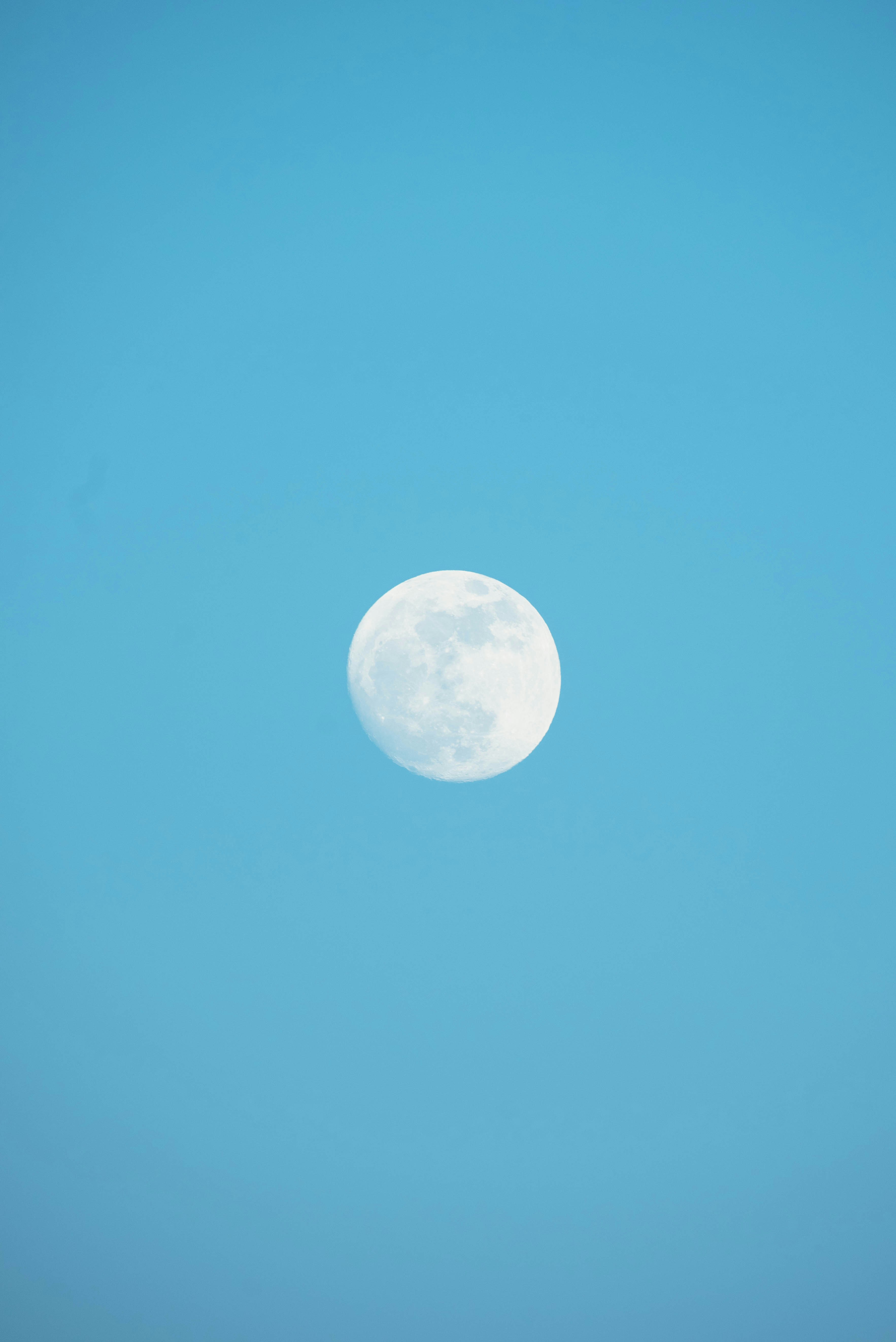 Photo by chuttersnap