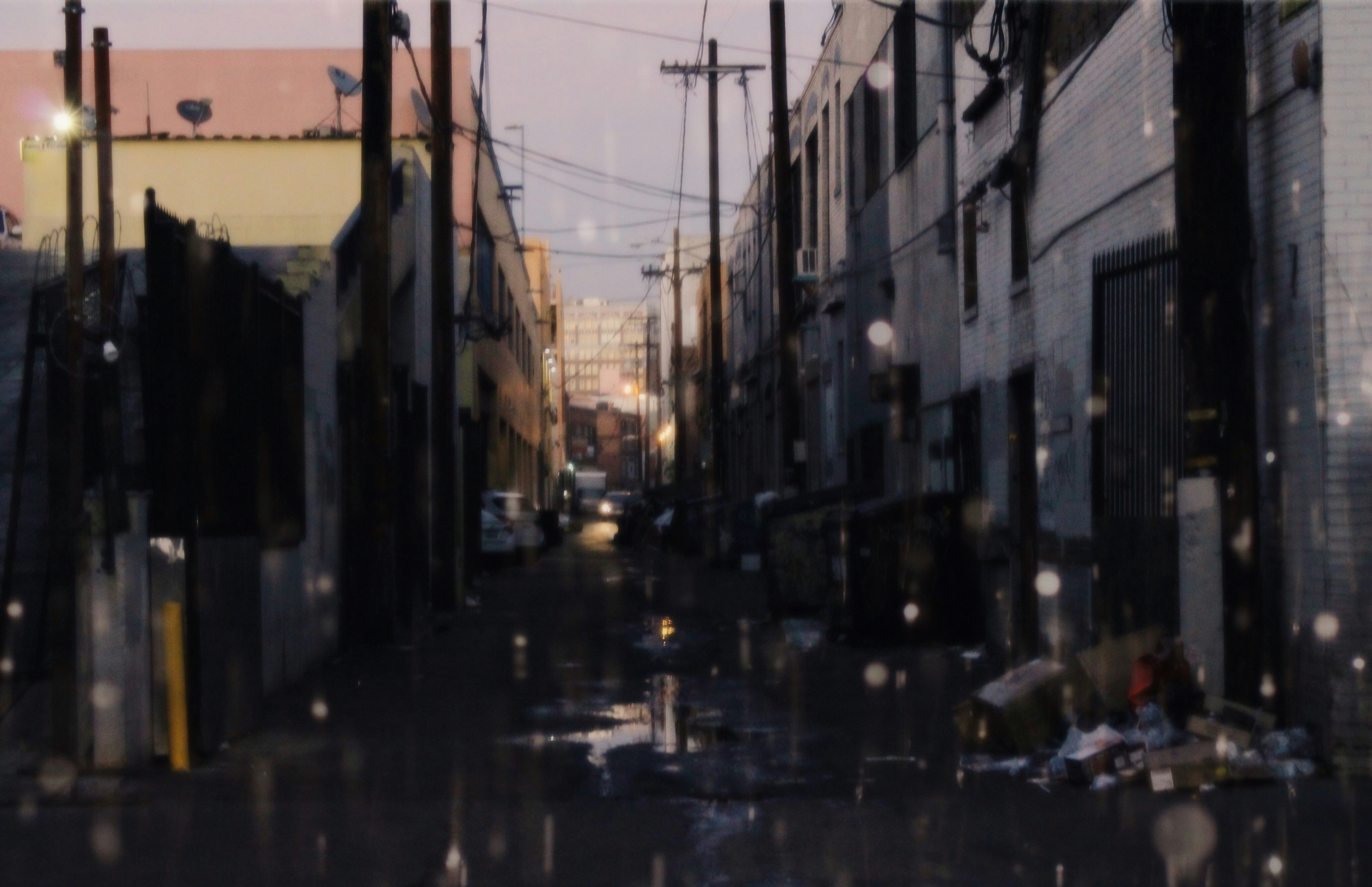 Photo by hyporealitimedia