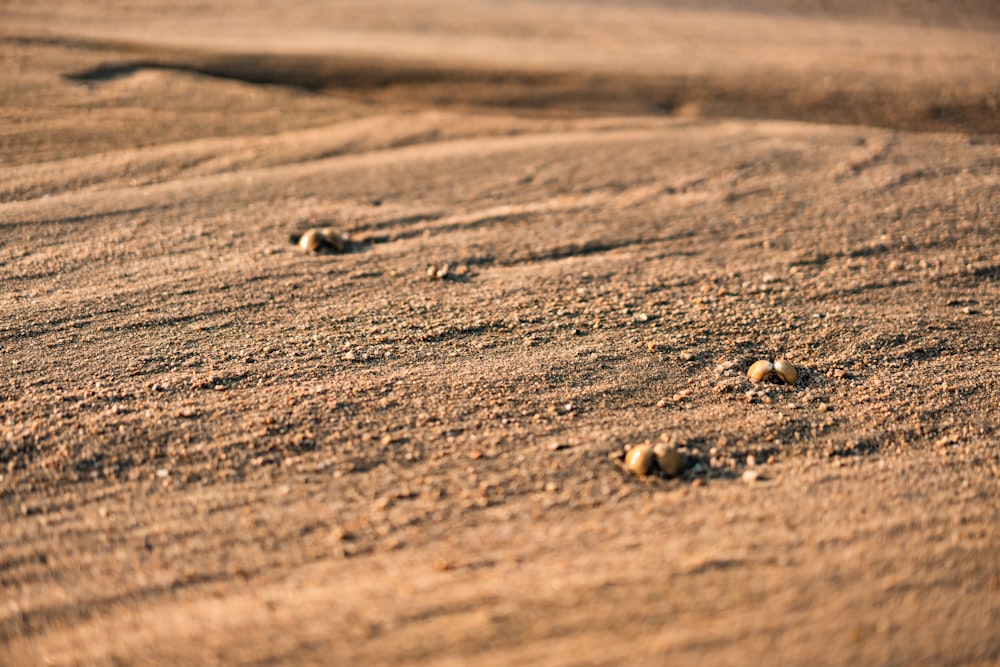 brown sand during daytime