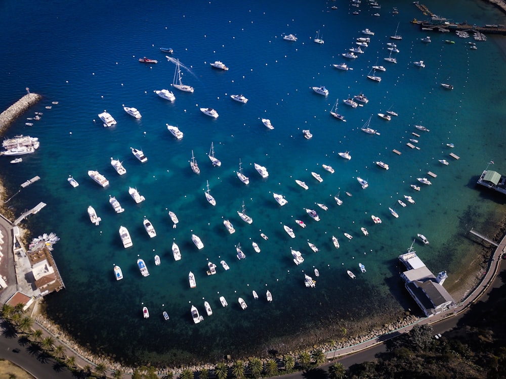 boats in body of water near island