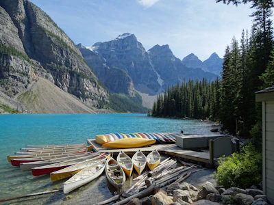 canoes near dock in body of water
