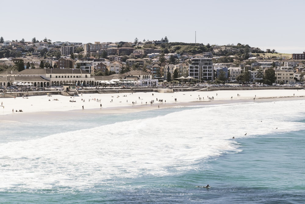 people on beach during daytime