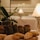A selection of various types of bread is artfully arranged on a wooden board, surrounded by soft, ambient lighting. A small, elegant table lamp and potted plant add to the decor, indicating a cozy dining atmosphere.