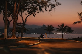 A scenic view of a coastal road with a motorcyclist riding along, framed by trees and palm trees during sunset. The sky displays a gradient of warm colors, and there is a body of water and mountains visible in the distance, with city lights twinkling along the horizon.