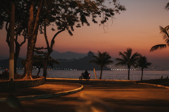 A scenic view of a coastal road with a motorcyclist riding along, framed by trees and palm trees during sunset. The sky displays a gradient of warm colors, and there is a body of water and mountains visible in the distance, with city lights twinkling along the horizon.