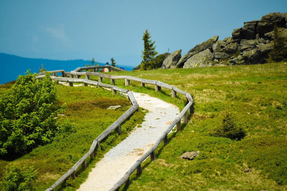 Camino blanco cerca de Green Field