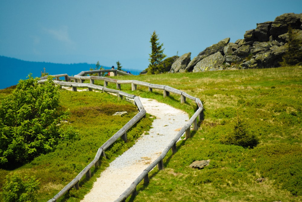 white pathway near green field