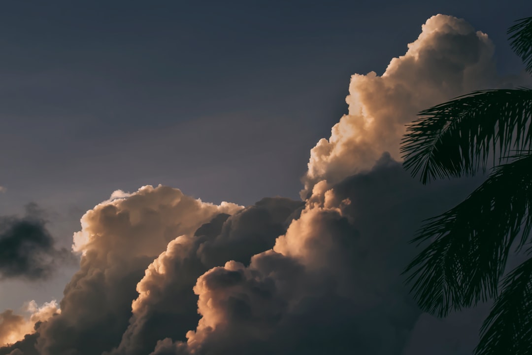 nimbus clouds