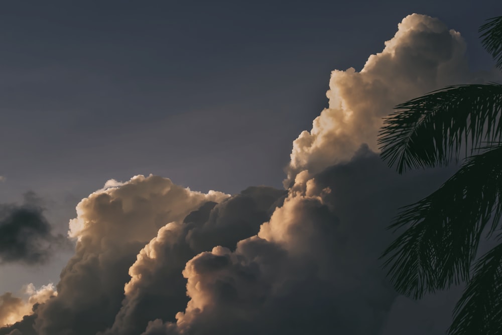 nimbus clouds