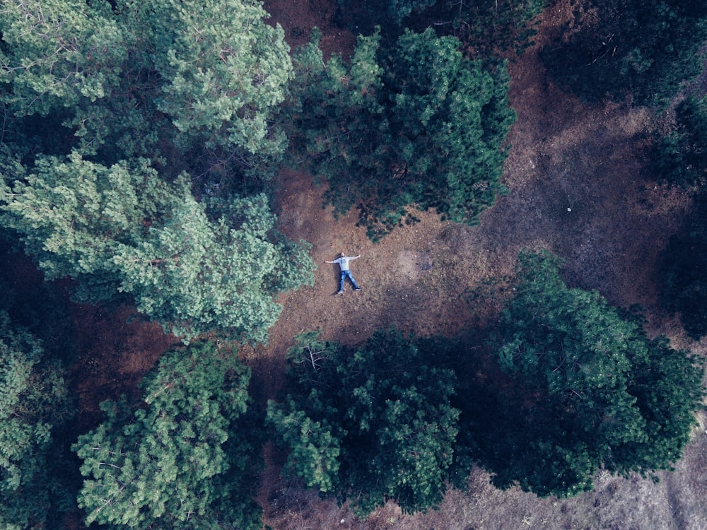 aerial photography of person lying on land surrounded with trees during daytime