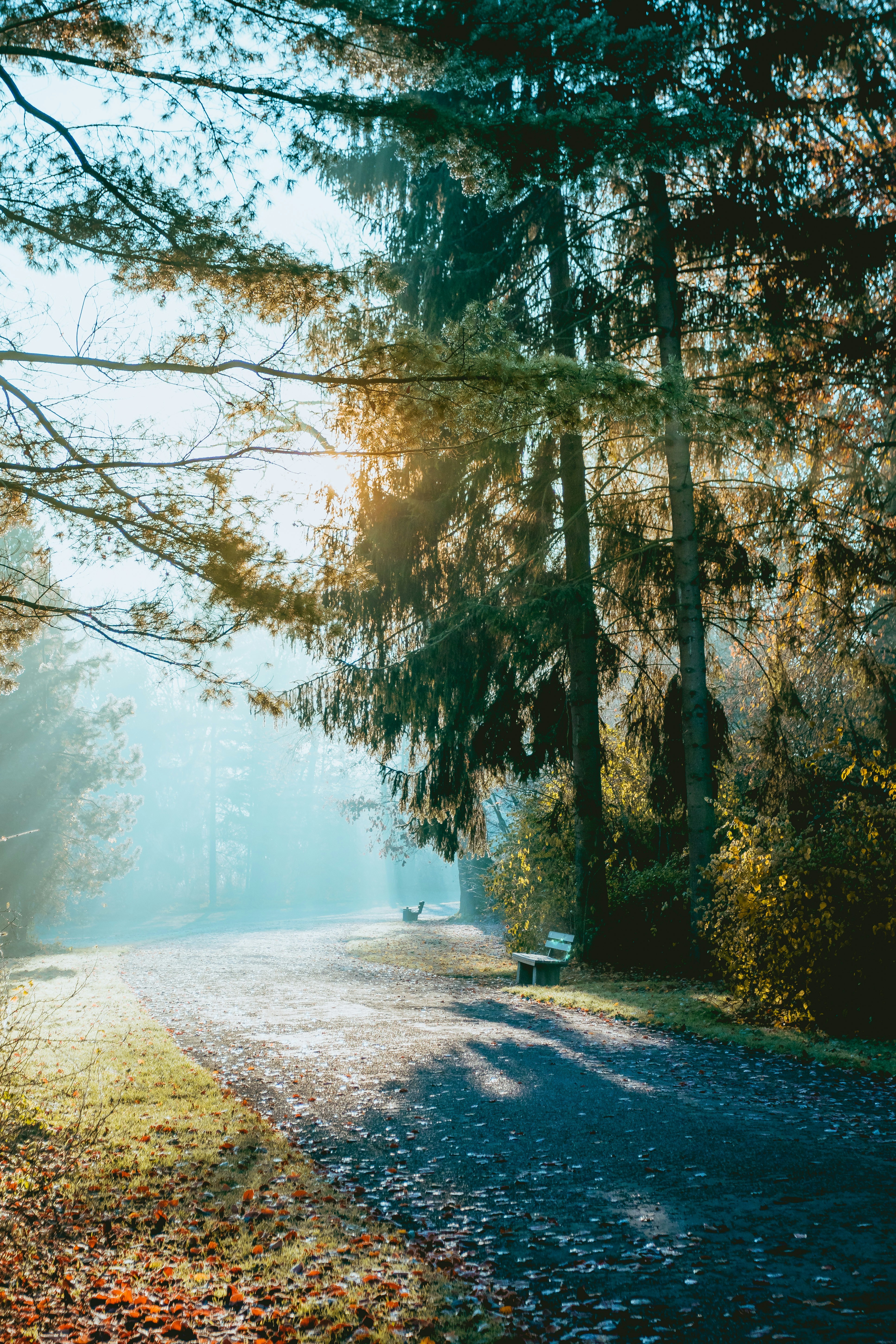 Photo by niklas_hamann