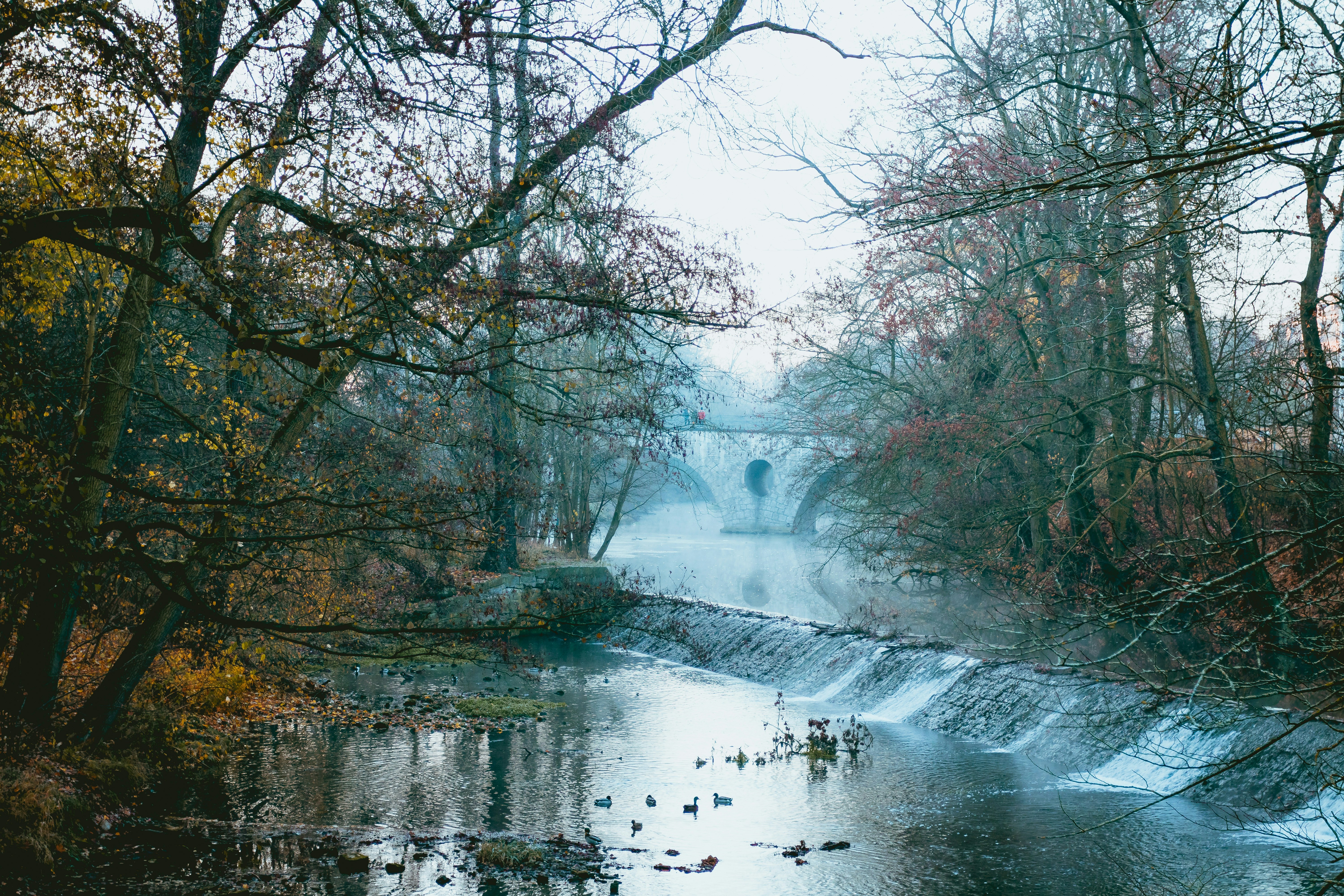 Photo by niklas_hamann