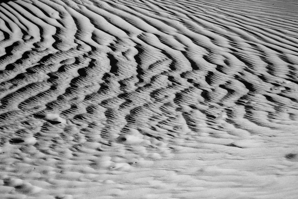 grey sand in grayscale photography
