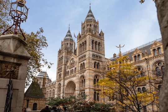 low-angle photo of high rise building during daytime in Natural History Museum United Kingdom