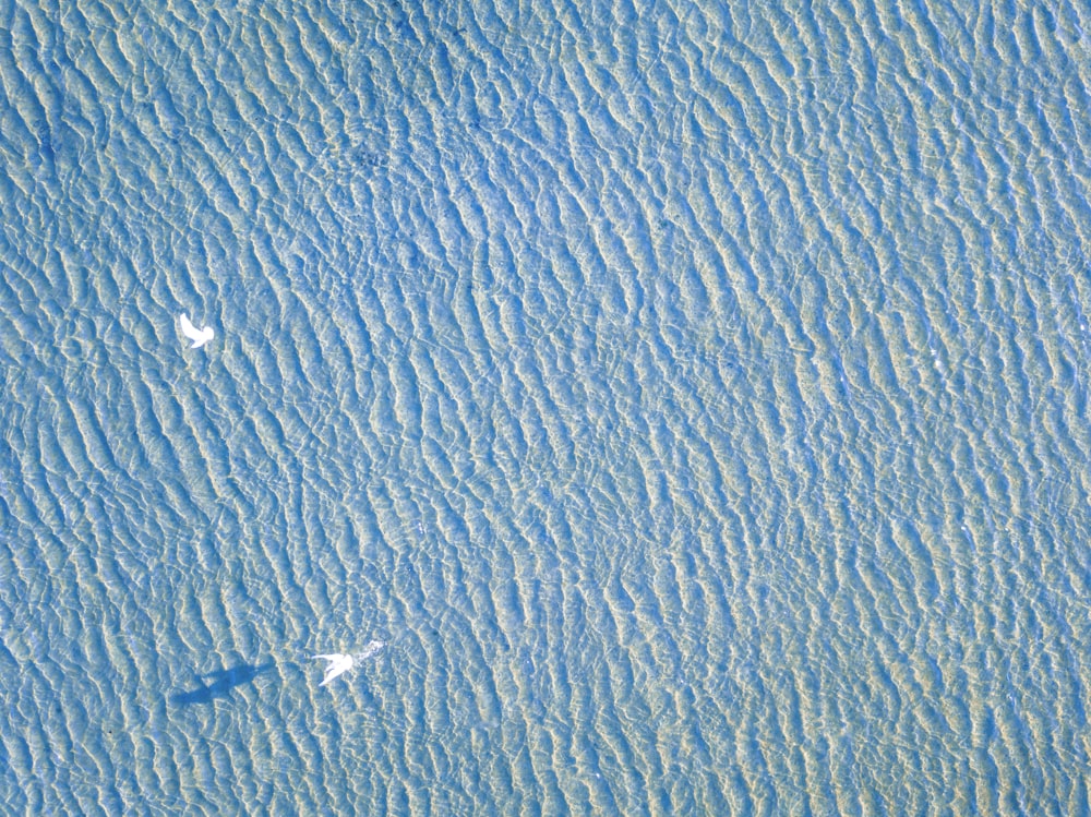 fotografia aérea do corpo d'água
