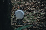 A primate is holding a white dish over its face while standing on the forest floor covered in dry leaves and some green plants. The scene takes place in a dense forested area with various foliage and a tree trunk visible.