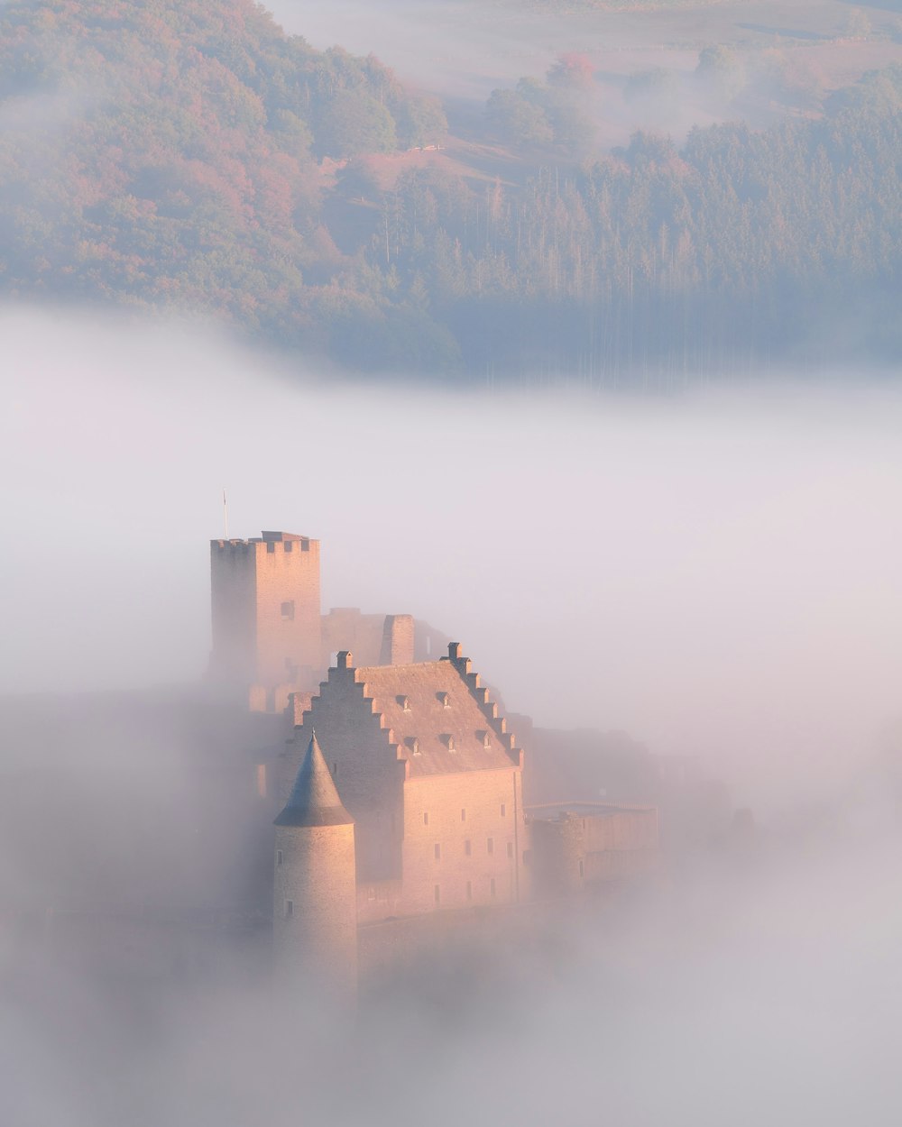 aerial view photography of castle