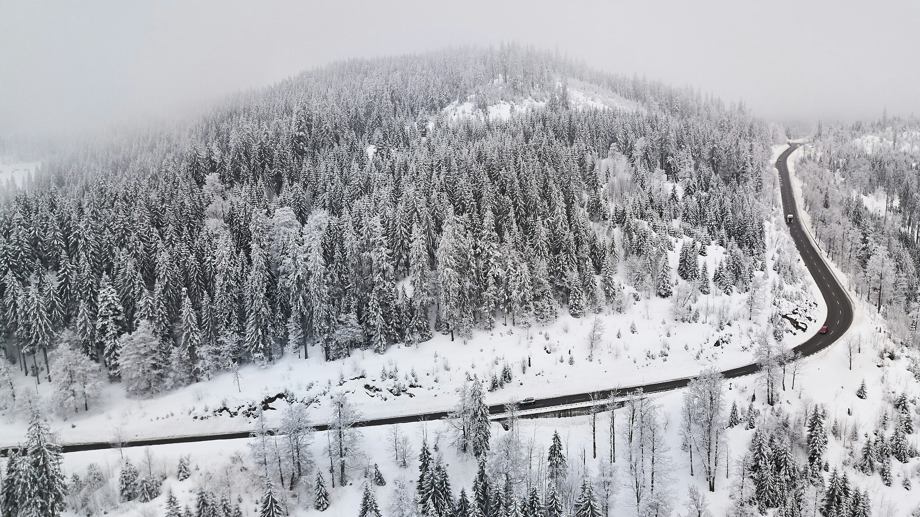 Photo by johnygoerend